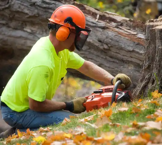 tree services Greenhills